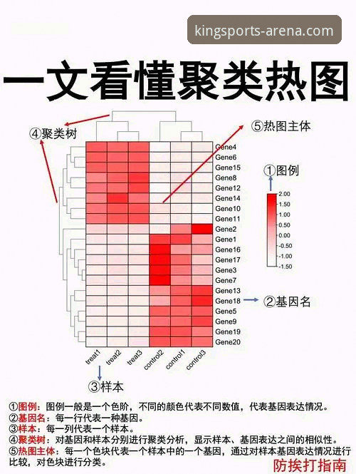 K体育赛事直播 K体育赛事直播完整指南:从入门到精通的多维解析